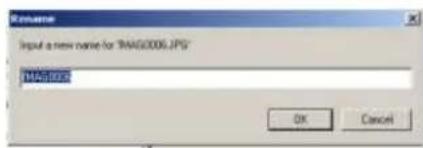 Input a new name for "TINAG0006.JPG" TINAG0006 OK Cancel