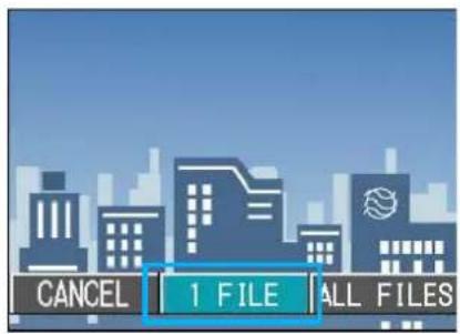 CANCEL 1 FILE ALL FILES