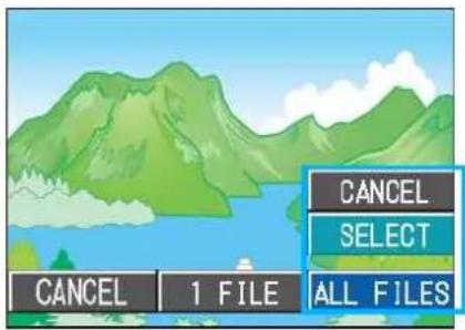 CANCEL 1 FILE CANCEL SELECT ALL FILES