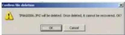 Confirm file deletion "PMAG0000.JPG" will be deleted. Once deleted, it cannot be recovered. OK? OK Cancel
