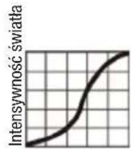 Cameo QSpot 15 W - KRZYWE SCIEMNIANIA - 2