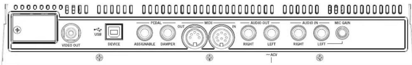 KORG Pa900 - Prise USB host(f) - 1