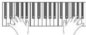 KORG Pa900 - Jouez sur le clavier. - 1