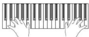 KORG Pa900 - Jouez sur le clavier. - 1