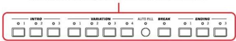 KORG Pa900 - Enregistrement - 1