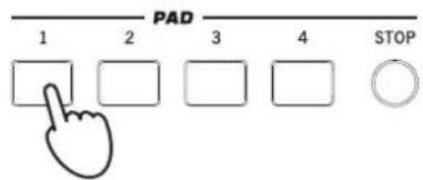 KORG Pa900 - Les pads - 2
