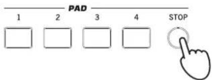 KORG Pa900 - Les pads - 3