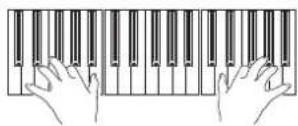 KORG Pa900 - Appuyez sur start/stop pour arrêter le style. - 9