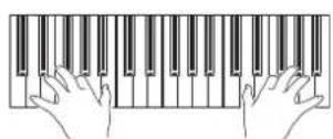 KORG Pa900 - Jouez sur le clavier pour écouter le son. - 1