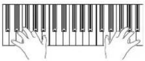 KORG Pa900 - Jouez sur le clavier. - 1