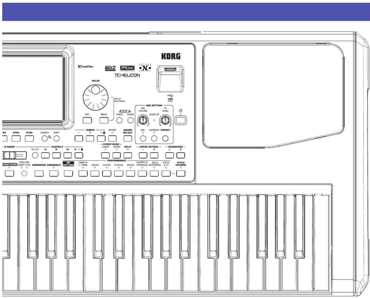 KORG Pa900 - Joystick - 2