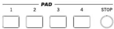 KORG Pa900 - Boutons supérieurs STS 1~4 - 4