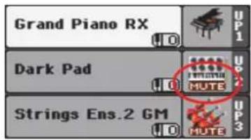 KORG Pa900 - Jouez sur le clavier. - 4