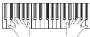 KORG Pa900 - Single touch settings (STS) - 3