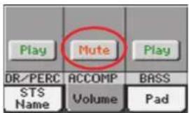KORG Pa900 - Activer/couper les pistes du style - 4