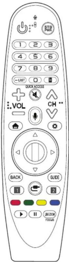 LG OLED55E8PUA - Using Magic Remote Control - 1
