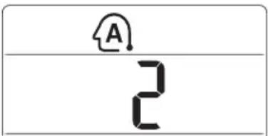 A 2