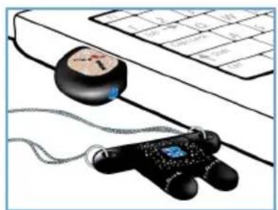 PHILIPS Swarovski FM02SW00 - 연결 - 2