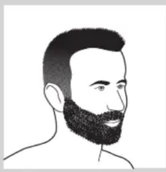 PHILIPS Senso Touch 2D RQ1168 - Estilos de barba - 2