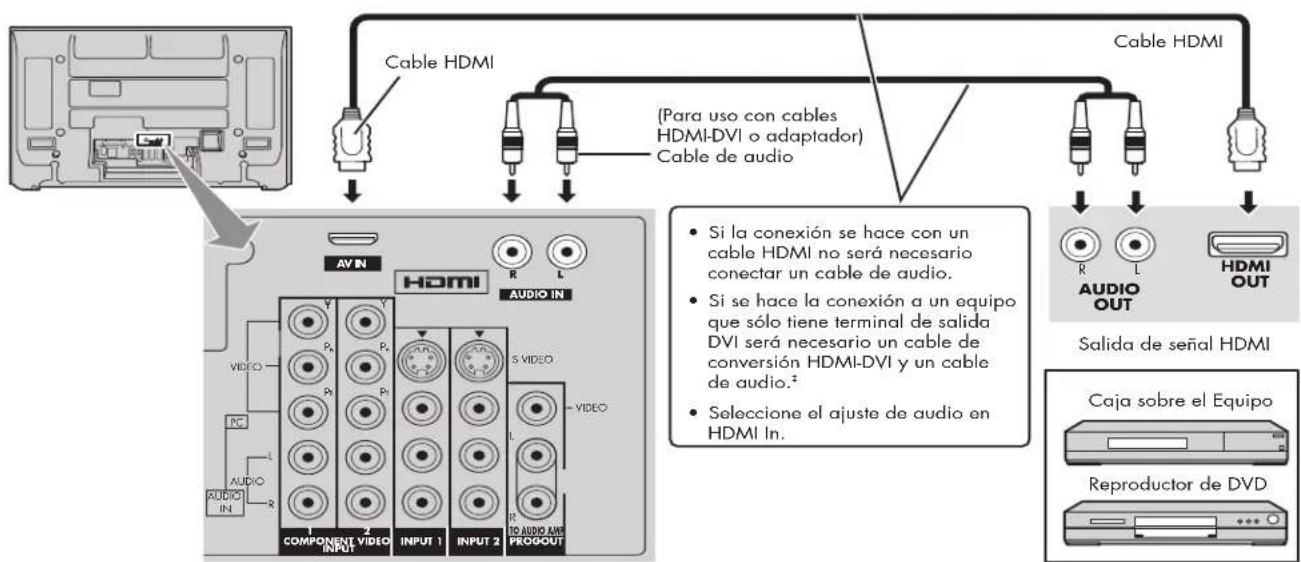 HP Pavilion PL4200N - Conexión HDMI - 1