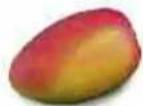 MAGIMIX Mini Plus 18255EB - Mousse de mangues - 1