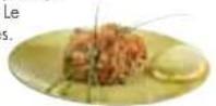 MAGIMIX Mini Plus 18255EB - COUTEAUMÉTAL - 1