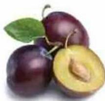 MAGIMIX Mini Plus 18255EB - Clafoutis aux prunes - 1
