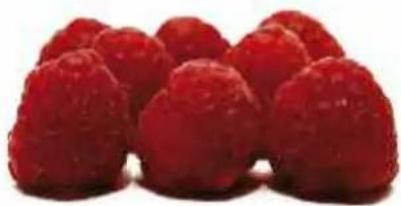 MAGIMIX Mini Plus 18255EB - Mousse glacée aux framboises - 1