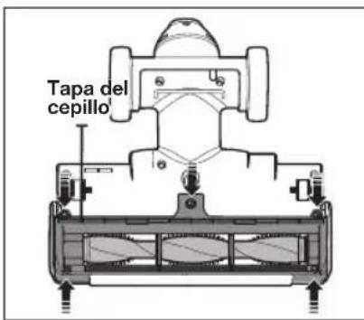 Tapa del cepillo