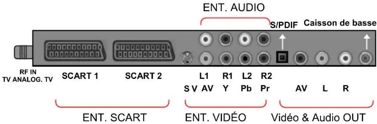 ENT. AUDIO S/PDIF Caisson de basse RF IN TV ANALOG. TV SCART 1 SCART 2 L1 R1 L2 R2 S V AV Y Pb Pr AV L R ENT. SCART ENT. VIDÉO Vidéo & Audio OUT