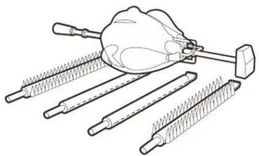 CHAR BROIL Performance 463274419 - Cuisson au moyen de la rôtissoire - 1
