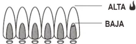 CHAR BROIL Performance 463274419 - Control de la llama del quemador - 1