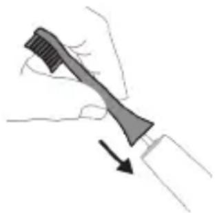 PHILIPS Sonicare ExpertClean 7300 HX9641 - Fixation de la tête de brosse - 1
