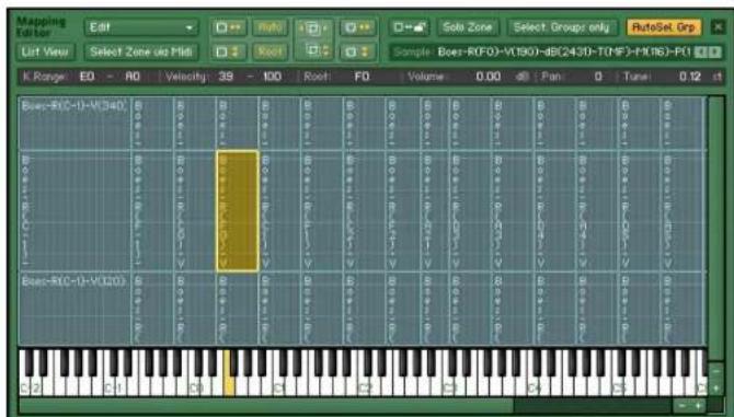 NATIVE INSTRUMENTS Kontakt 4 - Les Group Start Options - 2