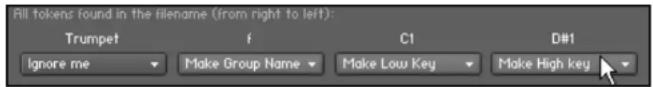 NATIVE INSTRUMENTS Kontakt 4 - Assigner les Samples automatiquement - 2