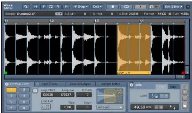 NATIVE INSTRUMENTS Kontakt 4 - Le Wave Editor - 1