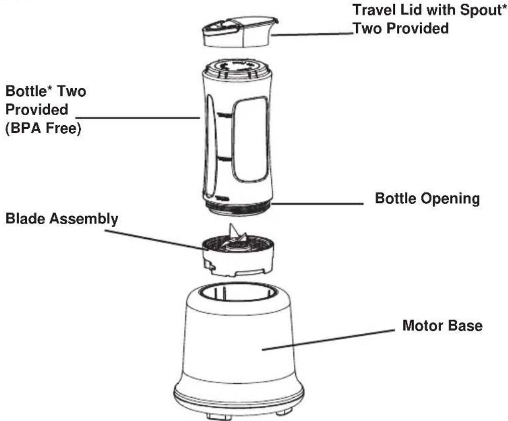 Travel Lid with Spout* Two Provided Bottle* Two Provided (BPA Free) Blade Assembly Bottle Opening Motor Base