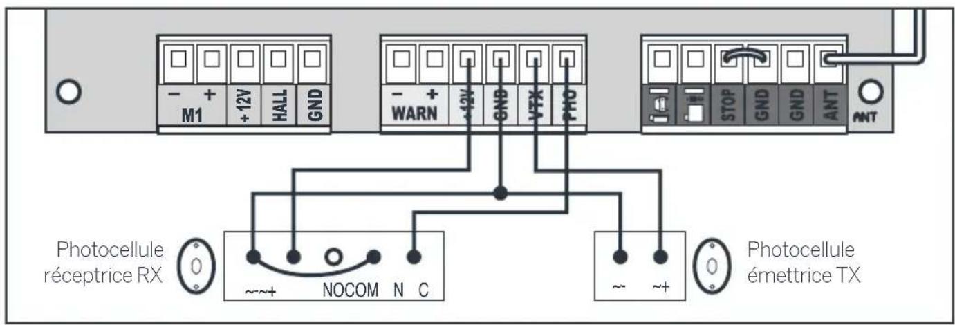 THOMSON 510043 - Les photocellules - 1