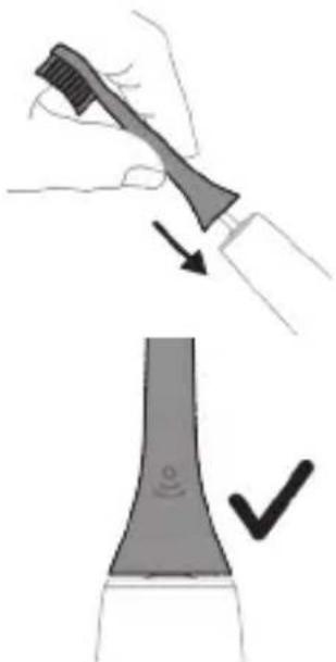 PHILIPS Sonicare DiamondClean Smart 9400 HX9917 - תְקַלָה בְּרִי הַבְשָׁ - 1