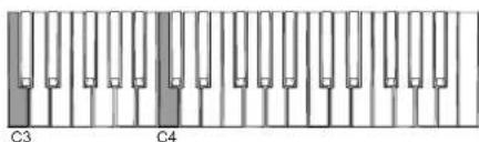 KORG ARP Odyssey FSQ - ARP ODYSSEY - 1