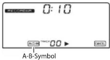 KORG TMR50 - Schleifenwiedergabe - 1