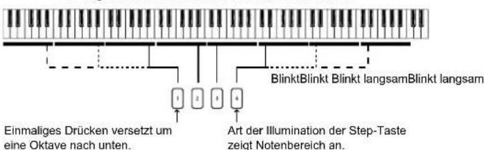 KORG electribe - Das Triggerpad als Keyboard nutzen - 3