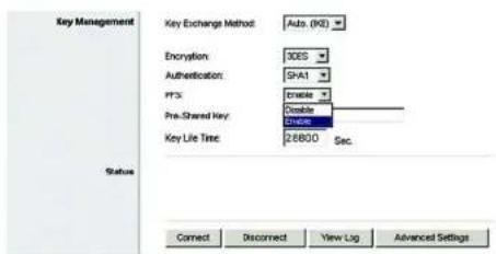 LINKSYS WAG54GX2 - „VPN Tunnel“ (VPN-Tunnel) - 2