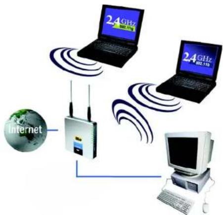 LINKSYS WAG54GX2 - Static IP Addresses - 1