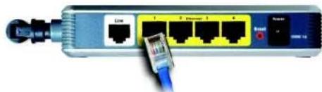 LINKSYS WAG54GX2 - Verdrahtete Verbindung mit einem Computer - 5