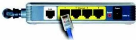 LINKSYS WAG54GX2 - Connexion câblée à un ordinateur - 5