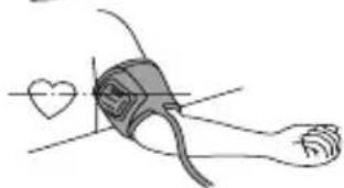 OMRON CS2 - Instructions for use - 3