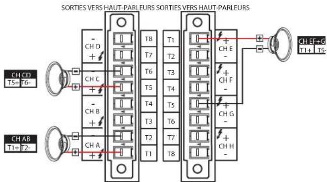 SORTIES VERS HAUT-PARLEURS SORTIES VERS HAUT-PARLEURS CH CD T5-T6- CH C + - CH B + - CH A + - T8 T1 T7 T2 T3 T4 T5 T6 T3 T6 T2 T7 T8 + - CH E + - CH F + - CH G + - CH H + - CH EF+G T1+ T5-