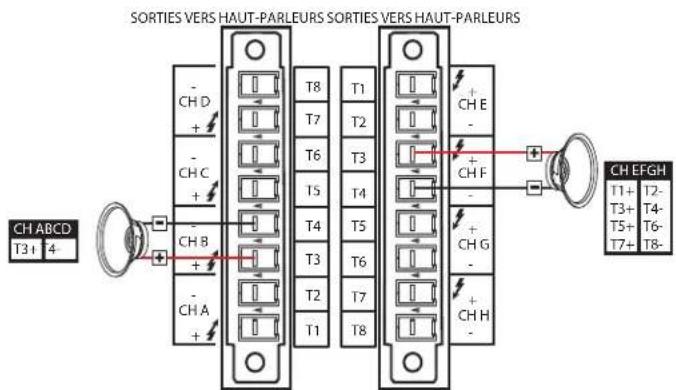 SORTIES VERS HAUT-PARLEURS SORTIES VERS HAUT-PARLEURS CH ABCD T3+ T4- - CH D + - - CH C + - - CH B + - - CH A + T8 T1 T7 T2 T6 T3 T5 T4 T4 T5 T3 T6 T2 T7 T1 T8 + CH E - + CH F - + CH G - + CH H - CH EFGH T1+ T2- T3+ T4- T5+ T6- T7+ T8-