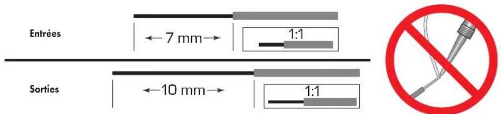 Entrées ← 7 mm → 1:1 Sorties ← 10 mm → 1:1